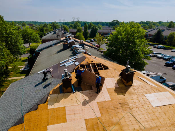 Best Roof Maintenance Services  in Leland, MS