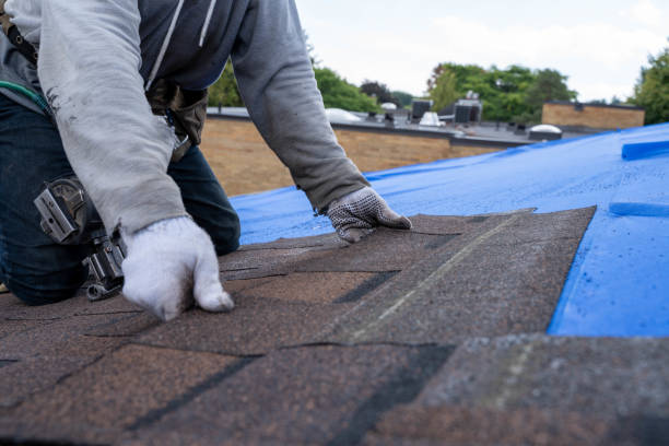 Best Roof Restoration Services  in Leland, MS