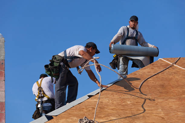 Best Shingle Roofing Installation  in Leland, MS